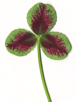  marginal mark + red leafmark + red leaf + red midrib