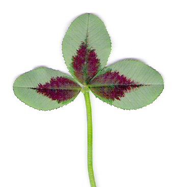 marginal mark + red leafmark
