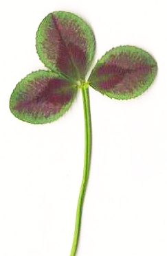 marginal mark + red leafmark + red leaf